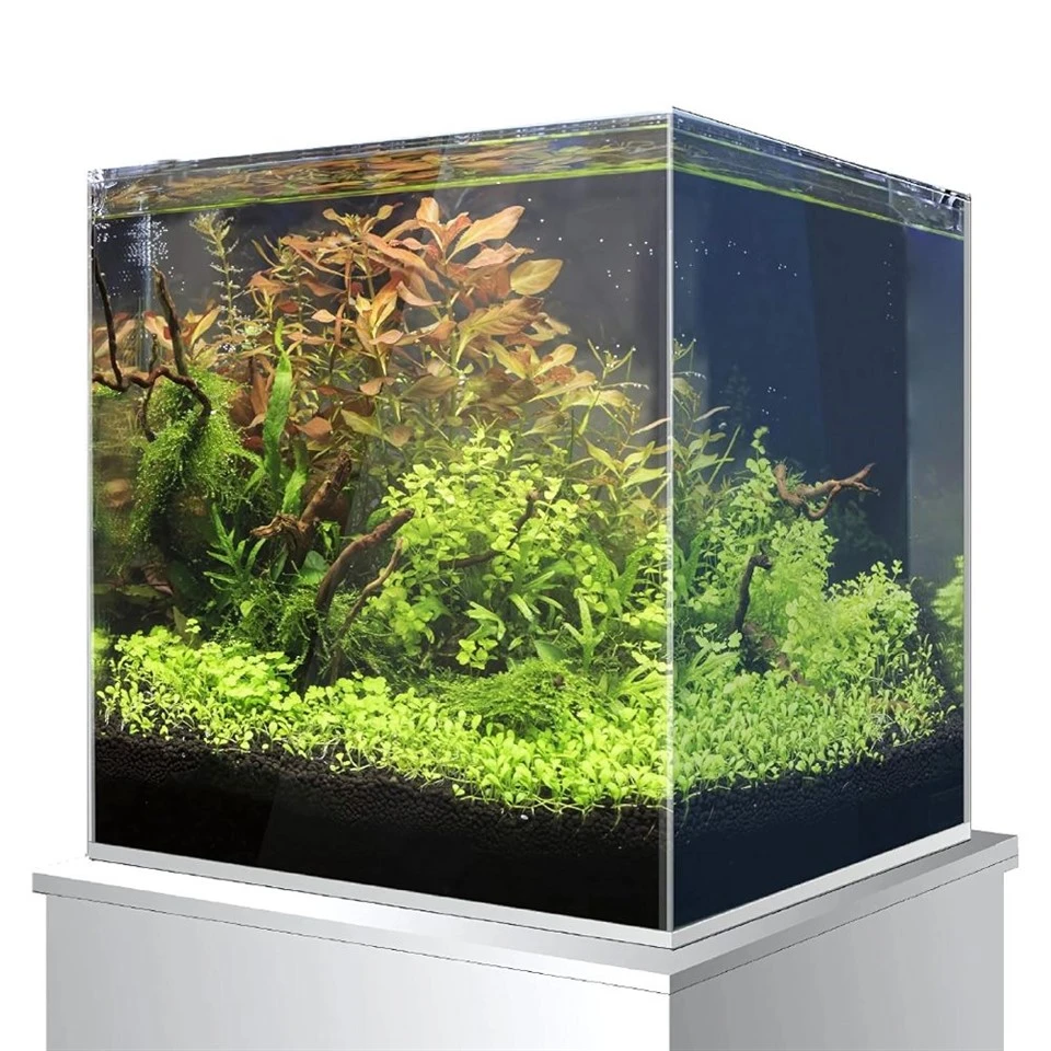Nano Tank No Filter